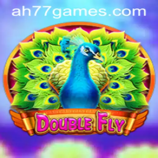 DoubleFly: The Innovative Gaming Experience